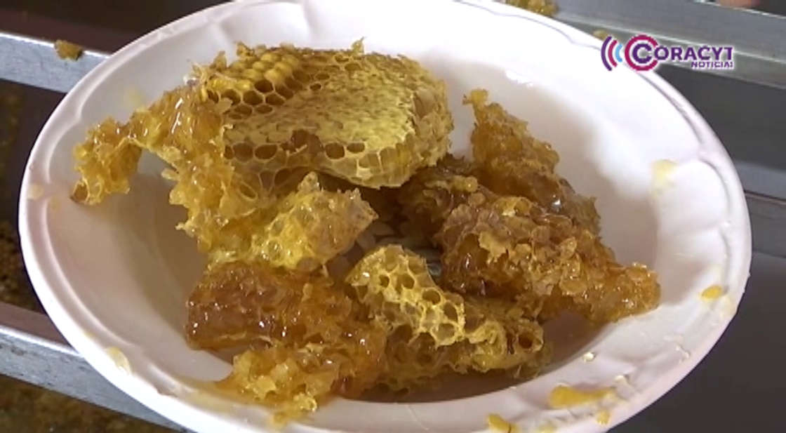 Terrenate endulzará paladares con el “Festival de la Miel”