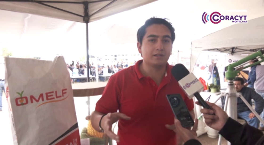 Maíz híbrido se consolida como una opción para elevar la productividad agrícola