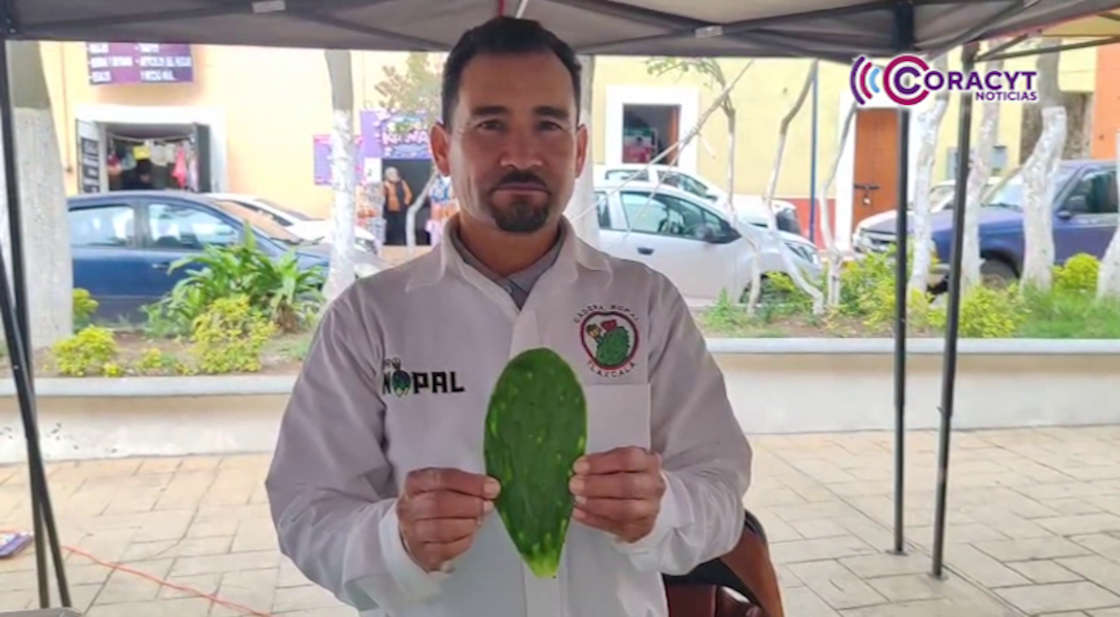 Se consolidan los Mercados Alternativos “Del Campo a Tu Mesa”