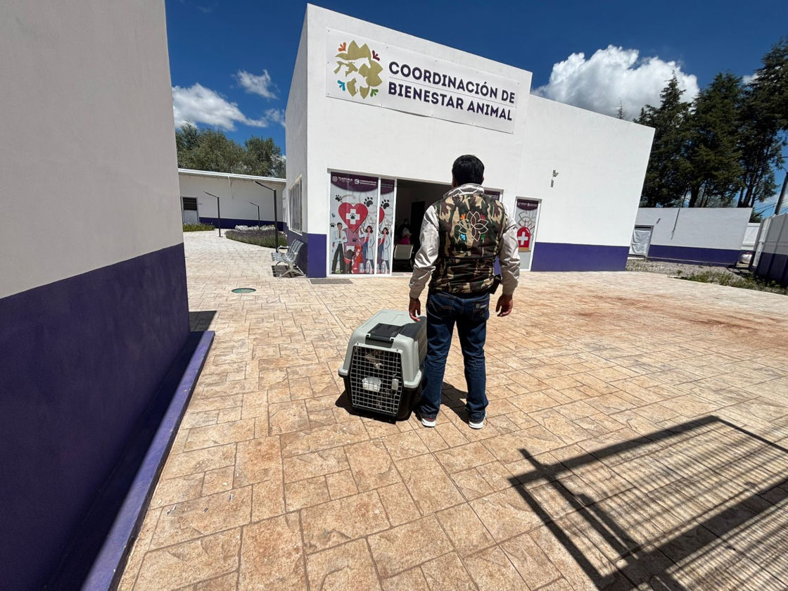 Propaet y Bienestar Animal rescatan a ejemplar en estado de maltrato en Atlahapa