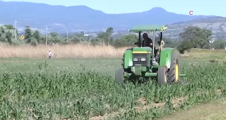 ¡Ya está abierta la ventanilla del programa Paisa!