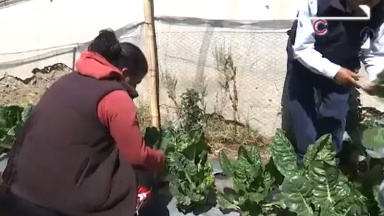 Inicia SIA programa de capacitación dirigido a servidores públicos y productores