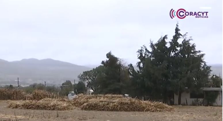 Brinda Sedif apoyo a familias en situación de vulnerabilidad