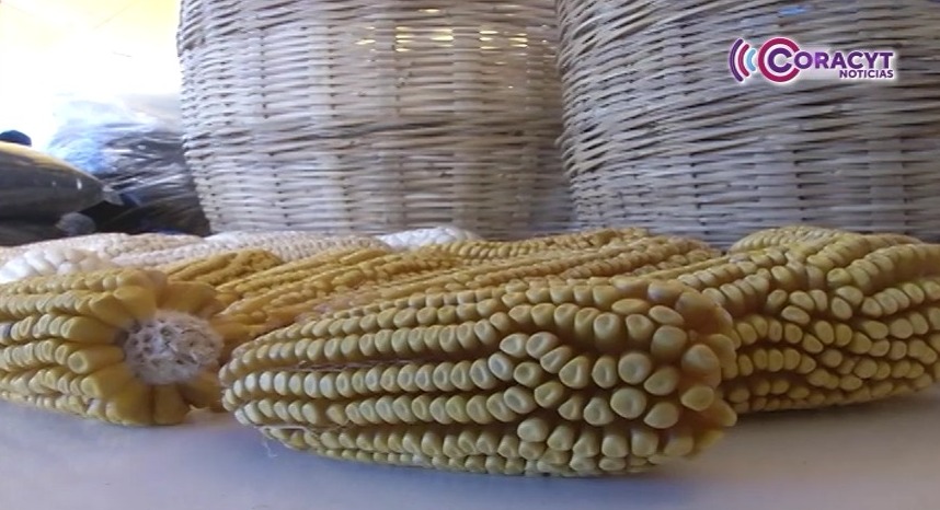 Se prepara Ixtenco para la 15ª edición de la “Fiesta del Maíz”