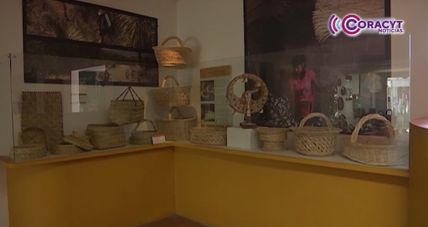 Aumentó la participación de mujeres artesanas en Tlaxcala